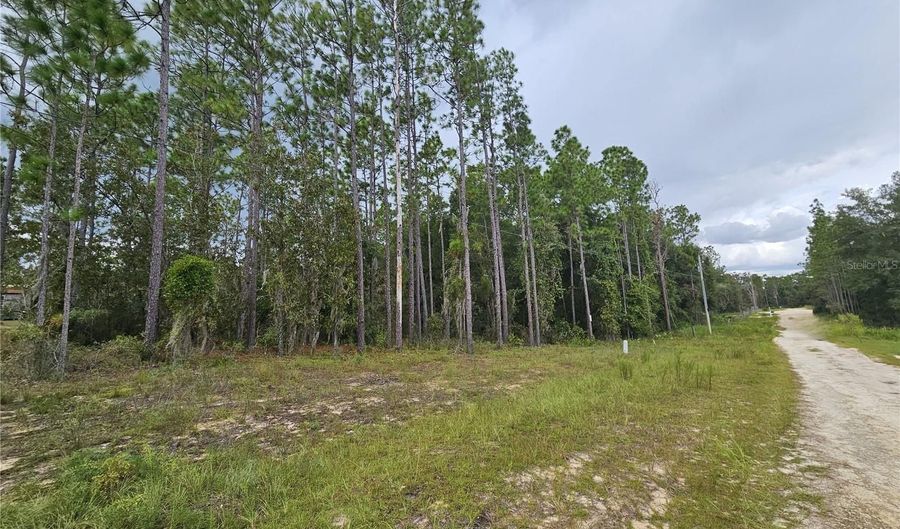 11730 NE 101ST Ter, Archer, FL 32618 - 0 Beds, 0 Bath