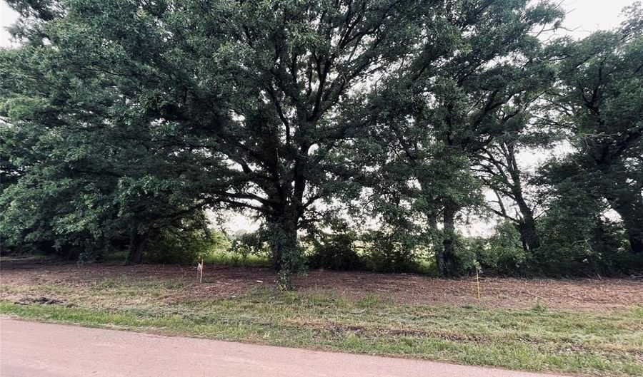 Lot 6 COUNTY ROAD 1560, Alba, TX 75410 - 0 Beds, 0 Bath