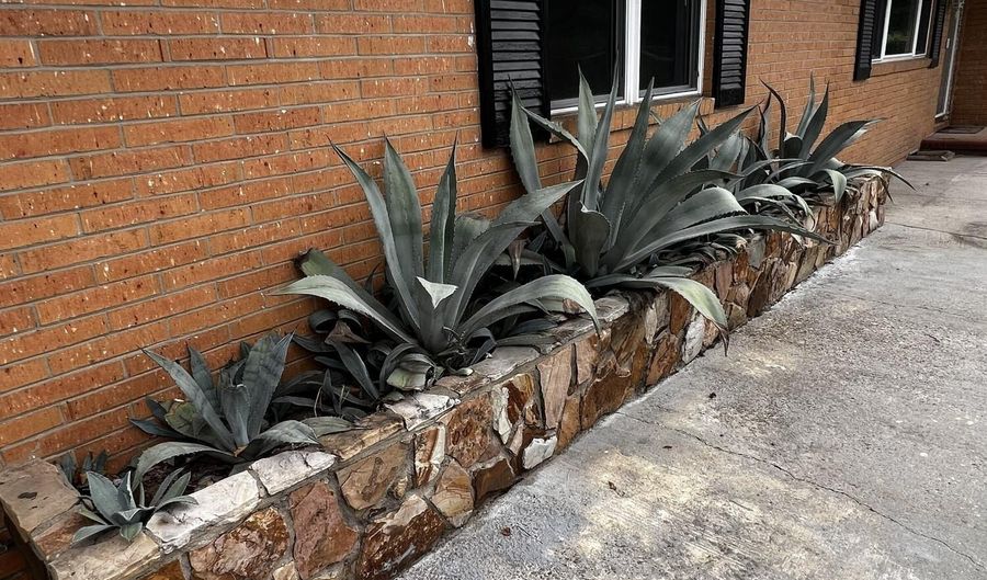 3641 Lake Shore Dr, Martinez, GA 30907 - 6 Beds, null Bath