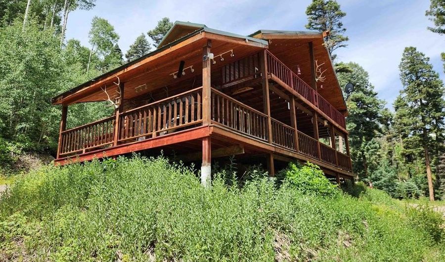 1407 Clarke Mountain Ln, Antonito, CO 81120 - 2 Beds, 2 Bath