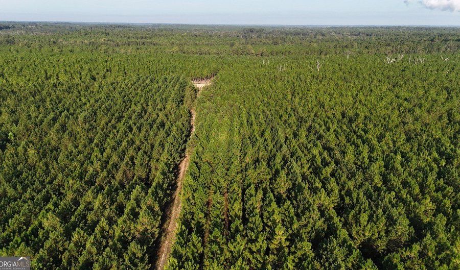 TRACTS 10 AND 1 Penny Morris Road, Baxley, GA 31513 - 0 Beds, 0 Bath