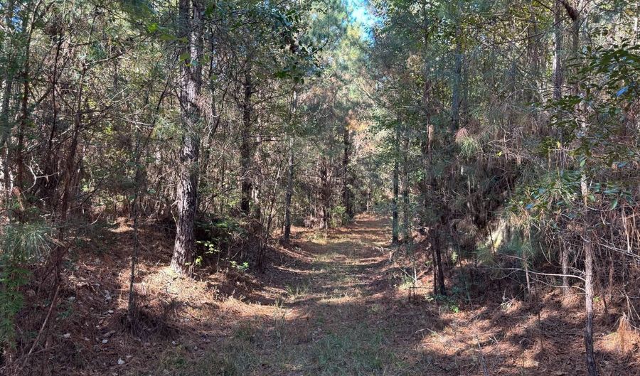 1 Smith County Road 18-5A, Bay Springs, MS 39422 - 0 Beds, 0 Bath