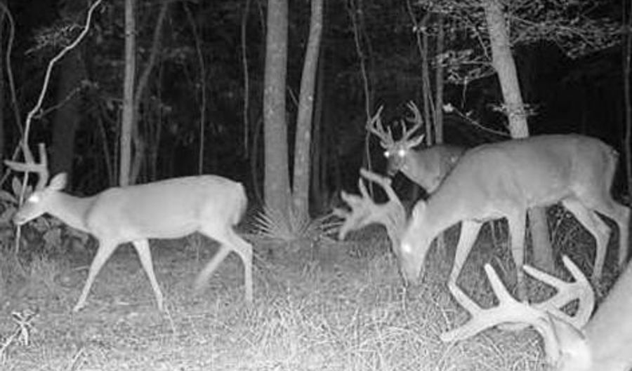 2200 Gillionville Rd, Albany, GA 31707 - 0 Beds, 0 Bath