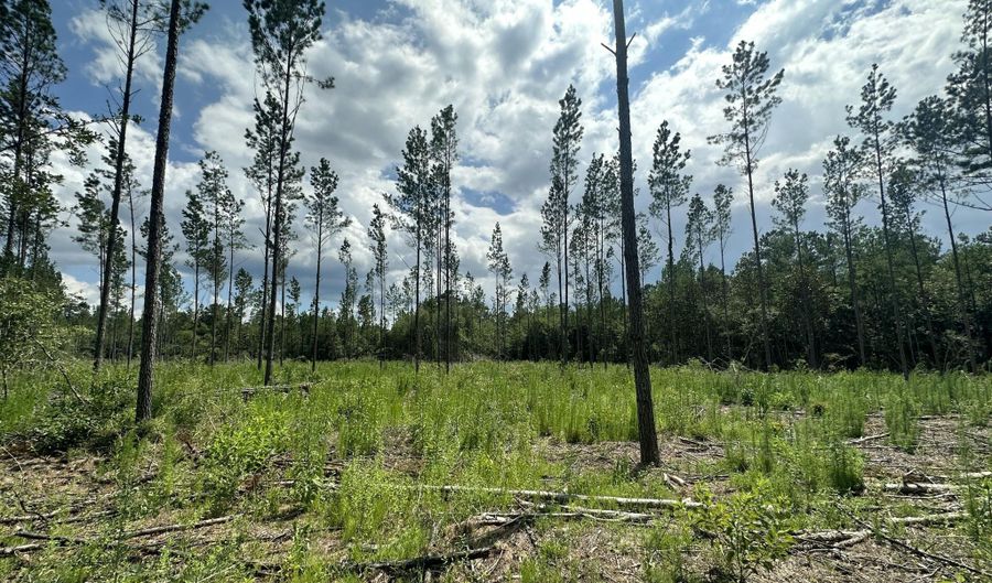 Parcel B Yellow River Baptist Church Road, Baker, FL 32531 - 0 Beds, 0 Bath