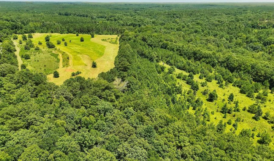 568 COUNTY ROAD 15 Lot 1, Autaugaville, AL 36003 - 0 Beds, 0 Bath