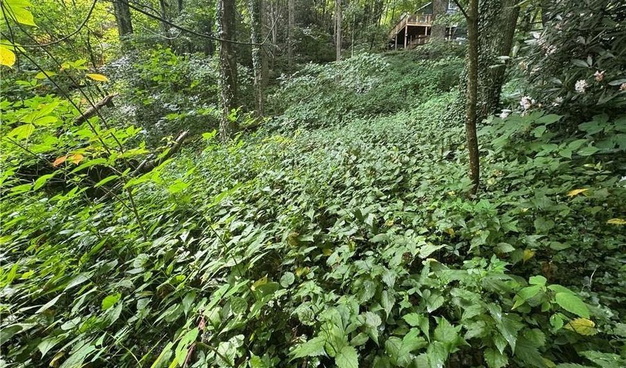 Tbd Clubhouse Drive, Banner Elk, NC 28604 - 0 Beds, 0 Bath