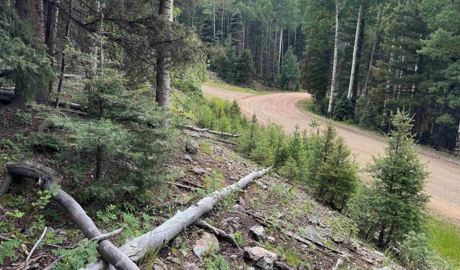 Lot 141 Back Basin Rd, Angel Fire, NM 87710 - 0 Beds, 0 Bath