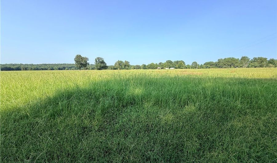 Hwy 307 lot 0, Belleville, AR 72824 - 0 Beds, 0 Bath