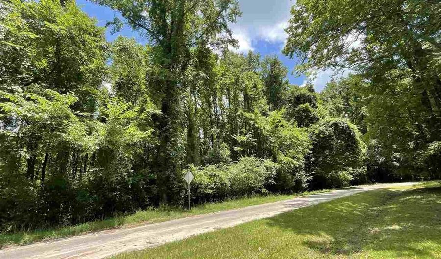Cottingham Blvd, Bennettsville, SC 29512 - 0 Beds, 0 Bath