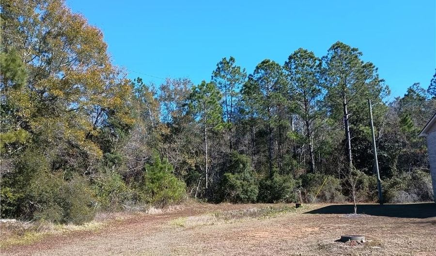 Bryant Drive, Bayou La Batre, AL 36509 - 0 Beds, 0 Bath