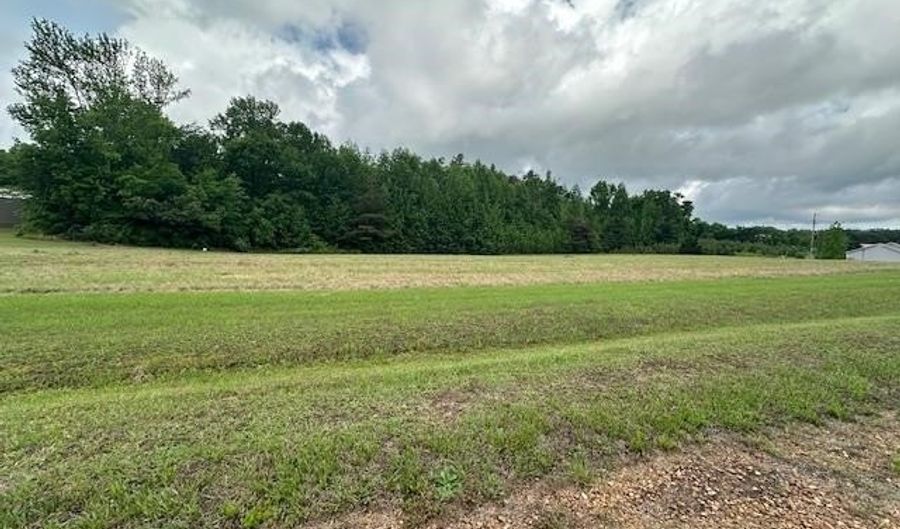 PEAR BLOSSOM Ln, Adamsville, TN 38310 - 0 Beds, 0 Bath