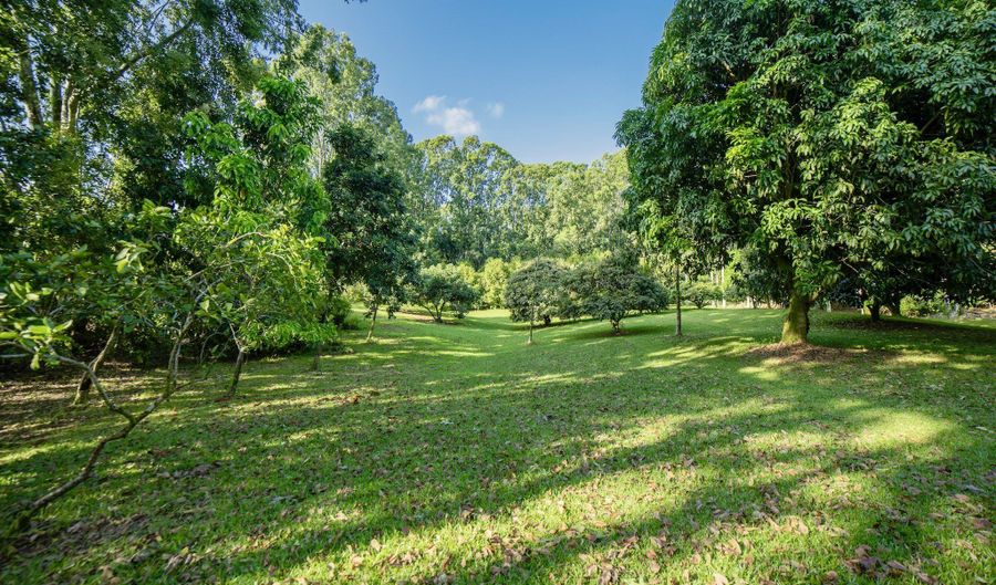 29-509 CHIN CHUCK Rd, Hakalau, HI 96710 - 0 Beds, 0 Bath