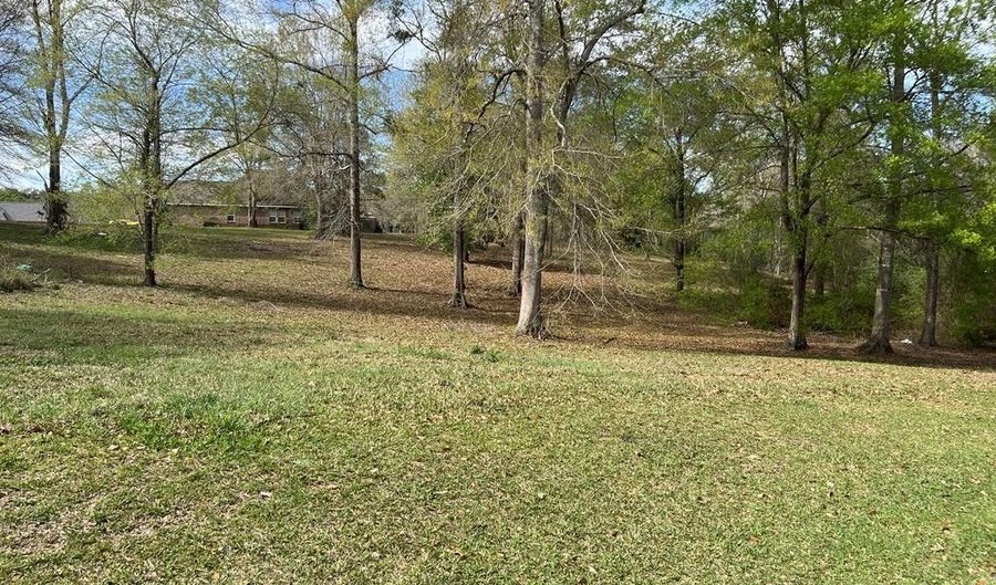00 Lakeshore Dr, Carriere, MS 39426 - 0 Beds, 0 Bath