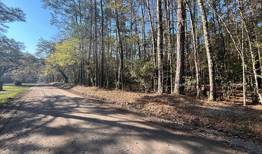 Willtown Road, Adams Run, SC 29426 - 0 Beds, 0 Bath