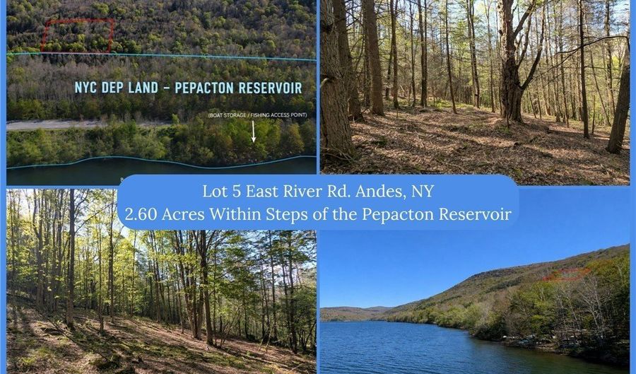 East River Road lot 5, Andes, NY 13731 - 0 Beds, 0 Bath