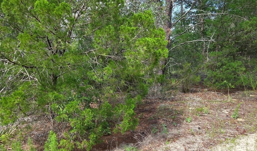 NE 95TH Street, Archer, FL 32618 - 0 Beds, 0 Bath