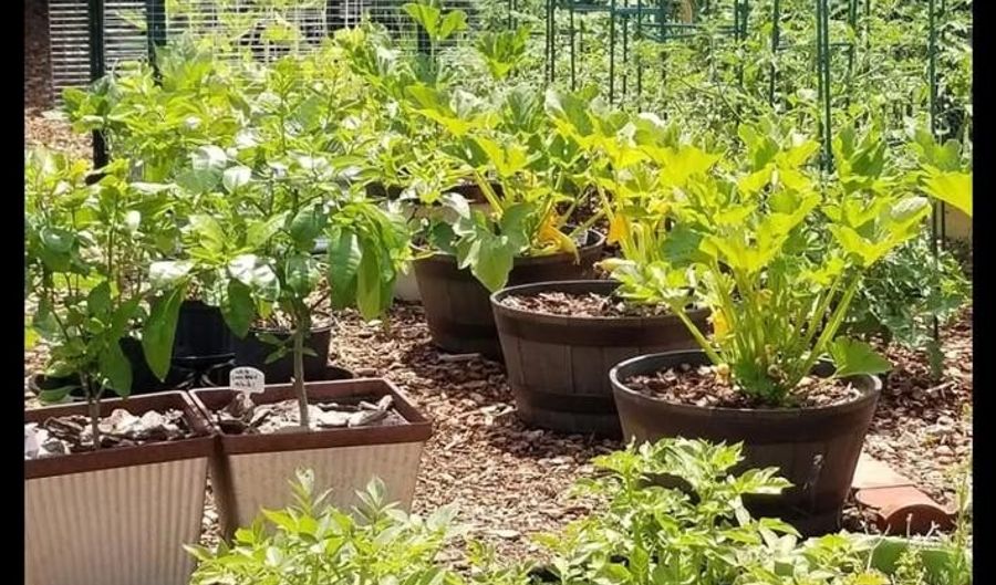 32 NANTICOKE Dr, Dover, DE 19904 - 4 Beds, 3 Bath