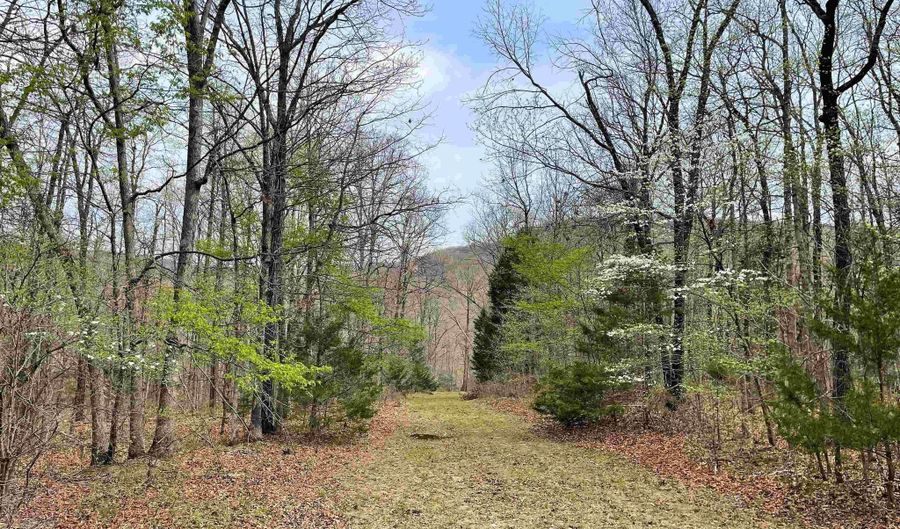 022-08412 000 CR 921, Alpena, AR 72611 - 0 Beds, 0 Bath