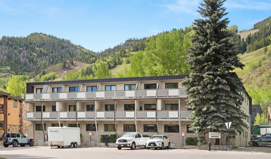 100 E Dean St 1D, Aspen, CO 81611 - 2 Beds, 2 Bath