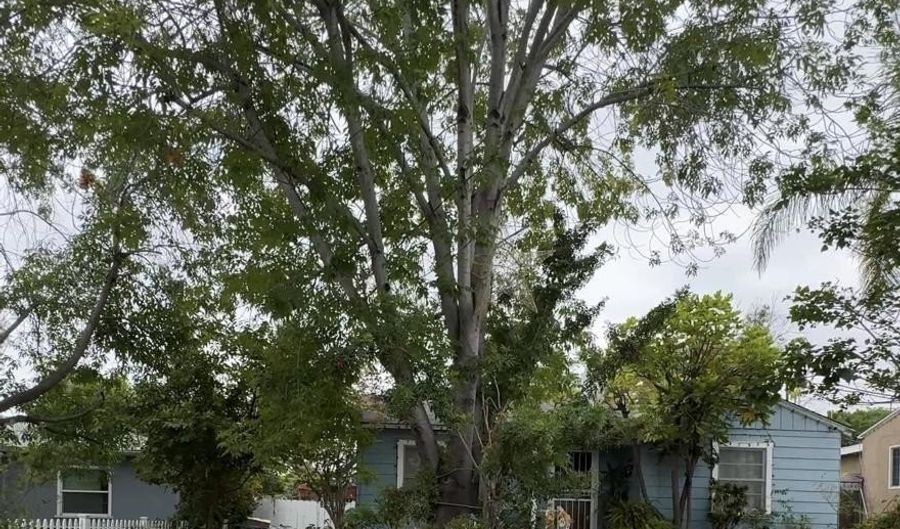 4380 Pomona, La Mesa, CA 91942 - 3 Beds, 2 Bath