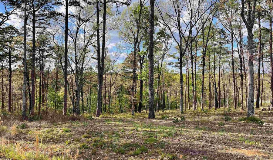 Lot 6R Orchard Hill Replat Ph 1, Conway, AR 72034 - 0 Beds, 0 Bath