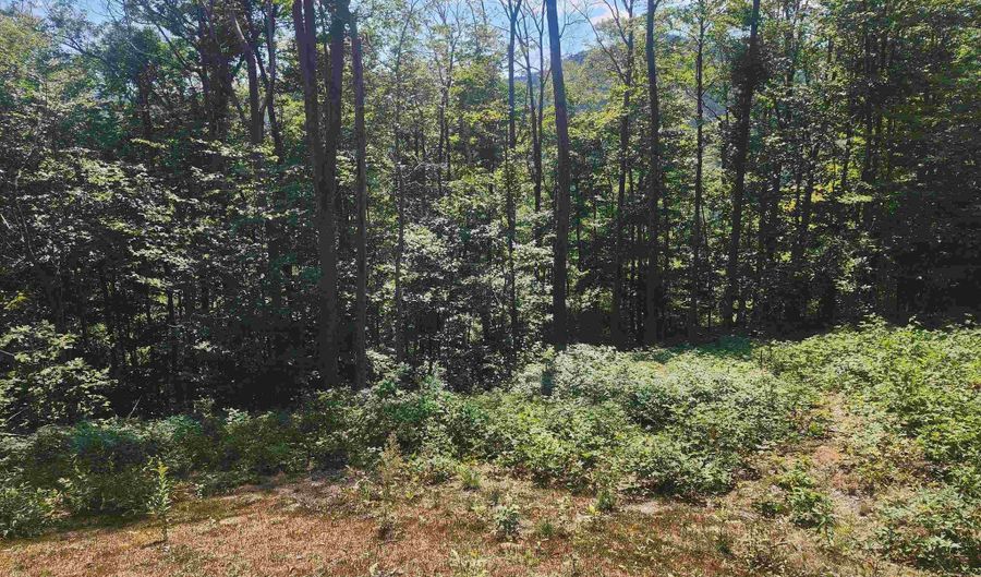 00 Jericho Rd, Bartlett, NH 03812 - 0 Beds, 0 Bath