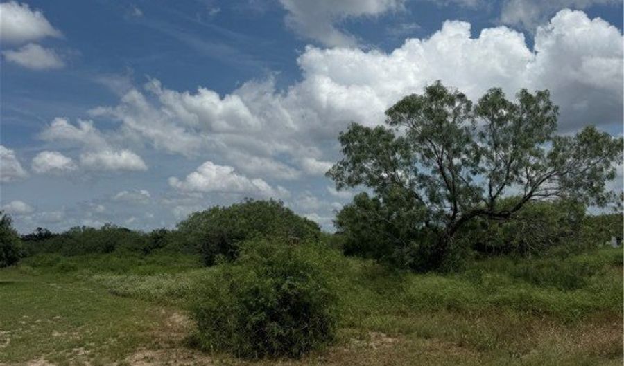 197 COUNTY ROAD 1171, Alice, TX 78332 - 0 Beds, 0 Bath