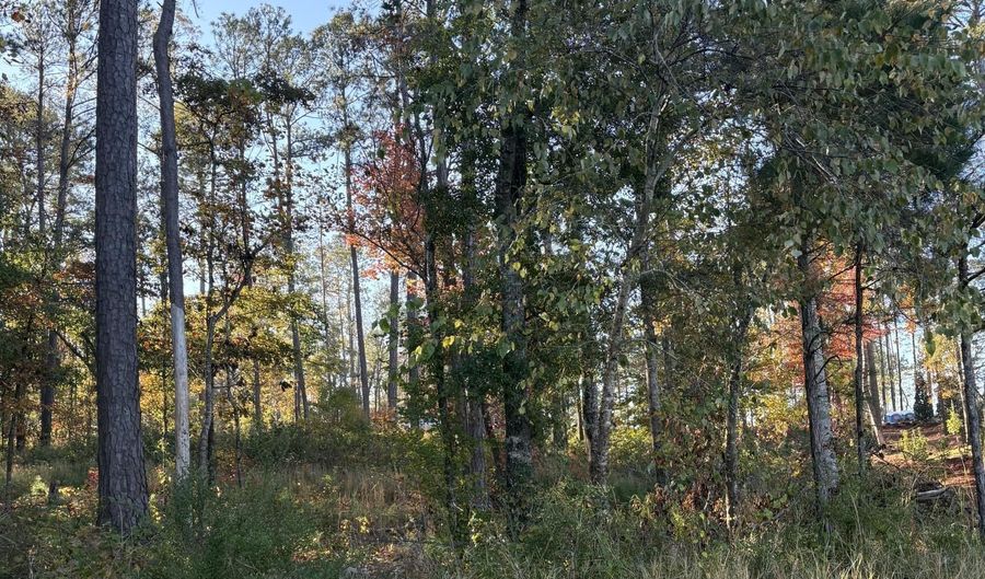 1005 Luannes Way, Alexander City, AL 35010 - 0 Beds, 0 Bath