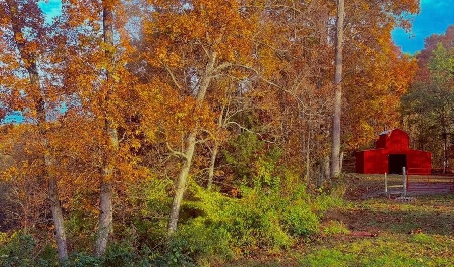 1475 Davis Valley Rd, Afton, TN 37616 - 3 Beds, 2 Bath