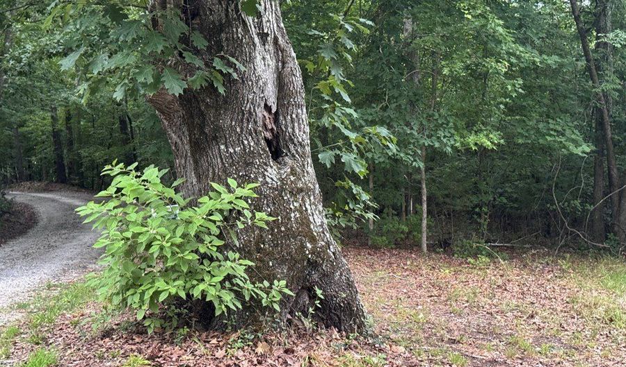 12 Acres Horton Dr, Abbeville, SC 29620 - 0 Beds, 0 Bath