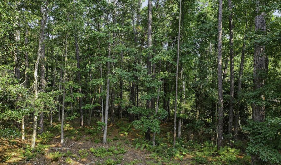86 Wade Hampton Dr, Beaufort, SC 29907 - 0 Beds, 0 Bath