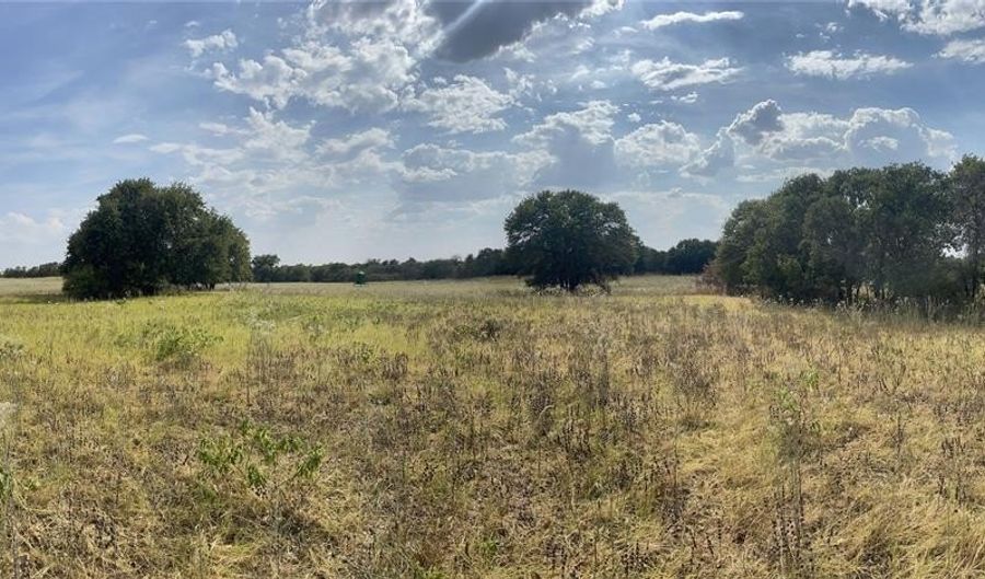 Lot 8 Blue Lacy Lane, Anson, TX 79501 - 0 Beds, 0 Bath