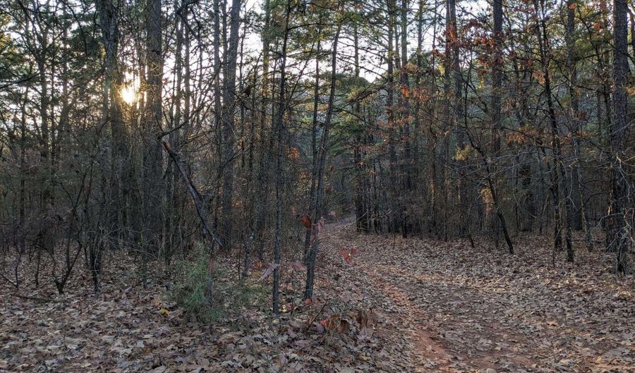 0 Water Tower Rd, Atkins, AR 72823 - 0 Beds, 0 Bath