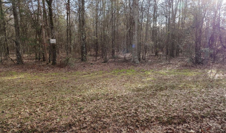 1207 Highway 36 W, Barnesville, GA 30204 - 0 Beds, 0 Bath