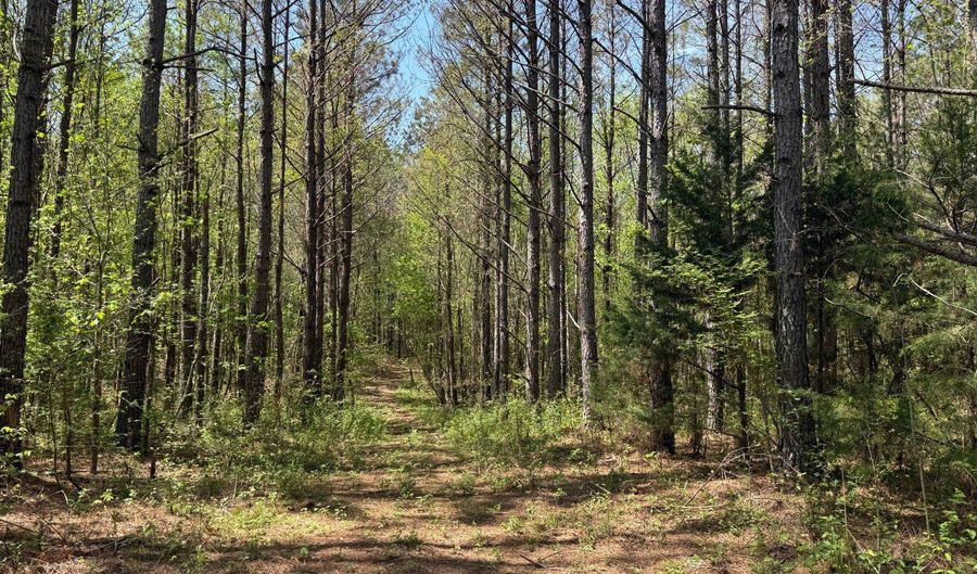 000 Fowler Rd, Beech Bluff, TN 38313 - 0 Beds, 0 Bath