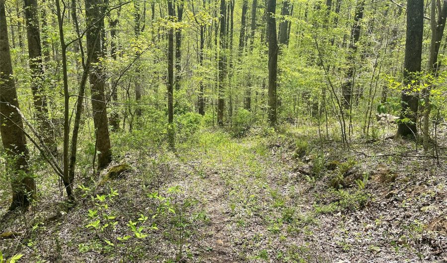 99999 Martins Creek Rd, Barnardsville, NC 28709 - 0 Beds, 0 Bath