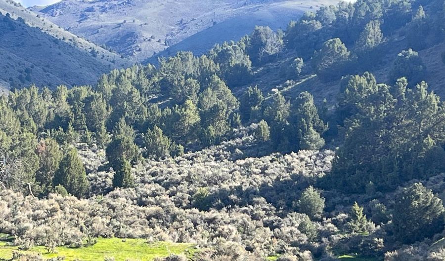 Mill Creek, Battle Mountain, NV 89820 - 0 Beds, 0 Bath