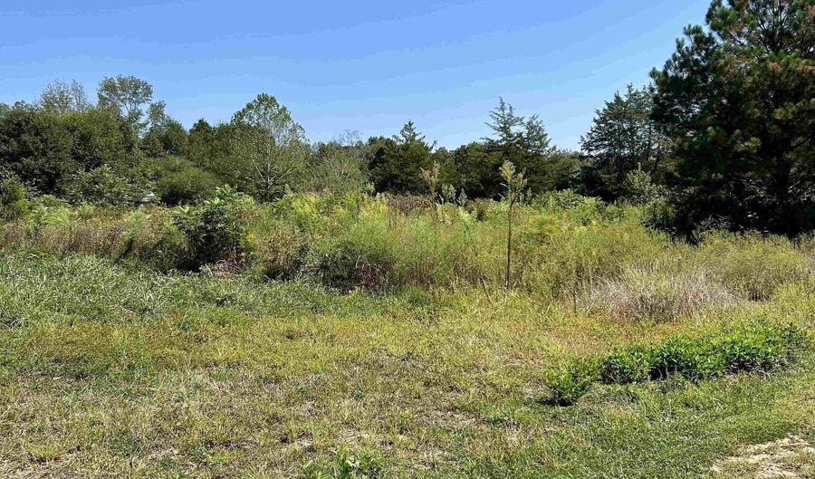 5675 Nixon Chapel Rd, Albertville, AL 35950 - 0 Beds, 0 Bath