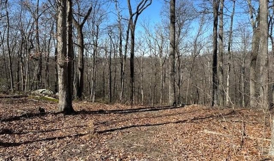 2 08 ACRES DEER PATH Rd, Augusta, WV 26704 - 0 Beds, 0 Bath