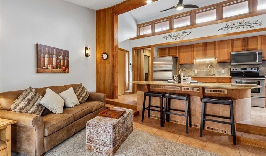 1080 Ski Hill Rd 9, Breckenridge, CO 80424 - 2 Beds, 2 Bath