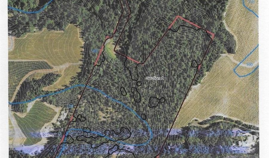 440 Cold Springs Rd, Angwin, CA 94508 - 6 Beds, 6 Bath