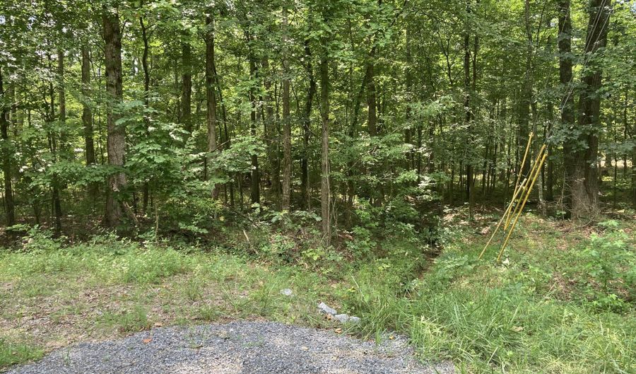Lot 1069 Iron Gate Drive, Baneberry, TN 37890 - 0 Beds, 0 Bath