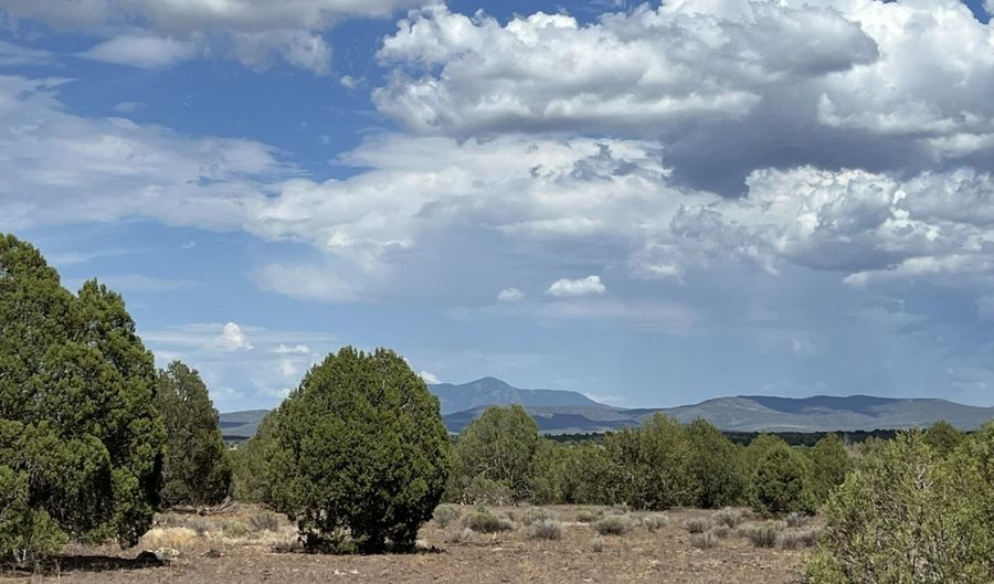 76 N Cattle Dr, Ash Fork, AZ 86320 - 0 Beds, 0 Bath