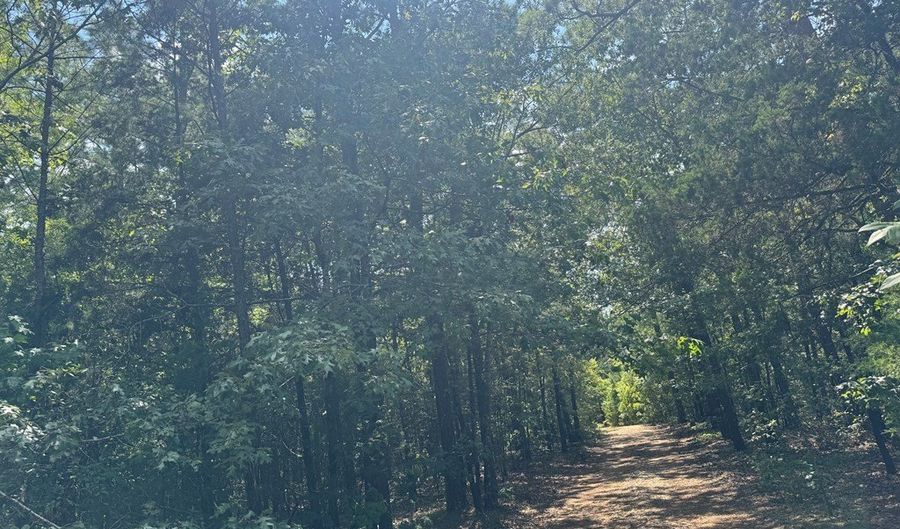 1324 Highway 81 N, Calhoun Falls, SC 29628 - 0 Beds, 0 Bath