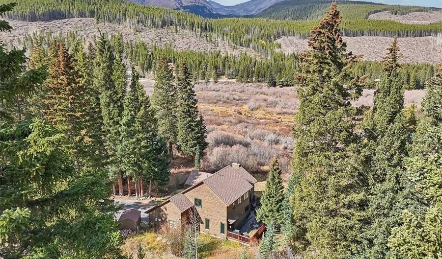 53 Mariposa Pl, Blue River, CO 80424 - 3 Beds, 3 Bath
