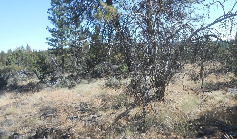 Ground Squirrel Drive, Bonanza, OR 97623 - 0 Beds, 0 Bath