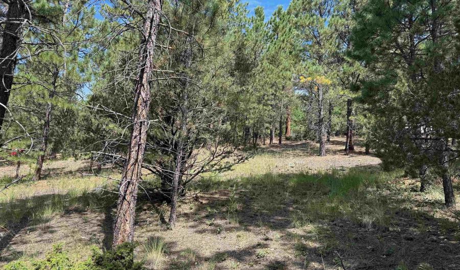 Upper Rd lot 18, Angel Fire, NM 87710 - 0 Beds, 0 Bath