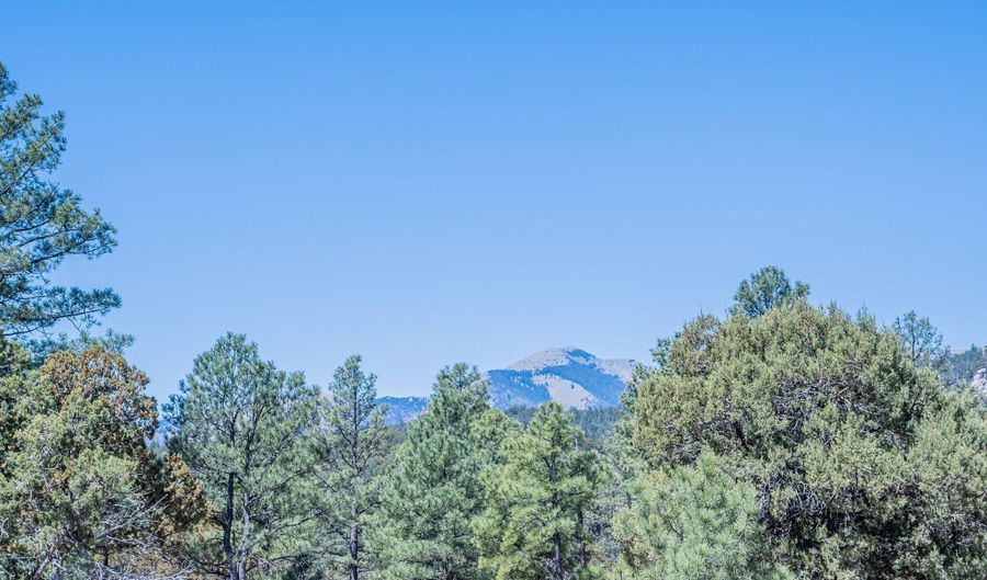 1097 State Hwy 48, Alto, NM 88312 - 5 Beds, 4 Bath