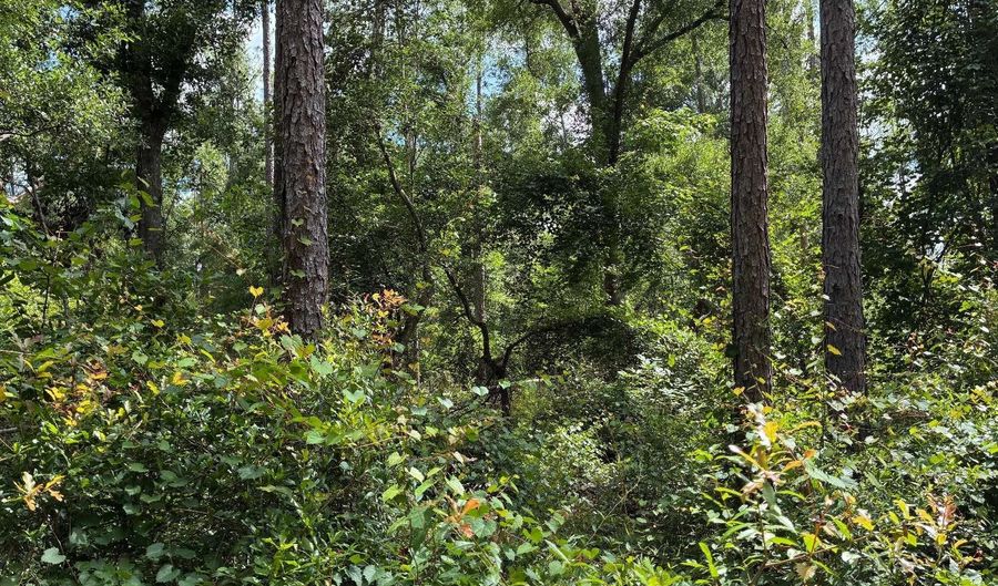 LOT66 PEACOCK HIDEAWAY, Live Oak, FL 32060 - 0 Beds, 0 Bath
