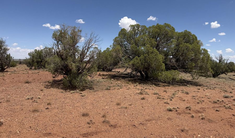 20 N 9160, Concho, AZ 85924 - 0 Beds, 0 Bath